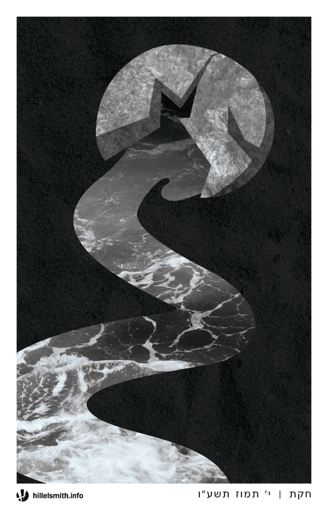 Art Image