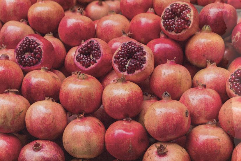 The Rabbi Sacks Family Parsha Program